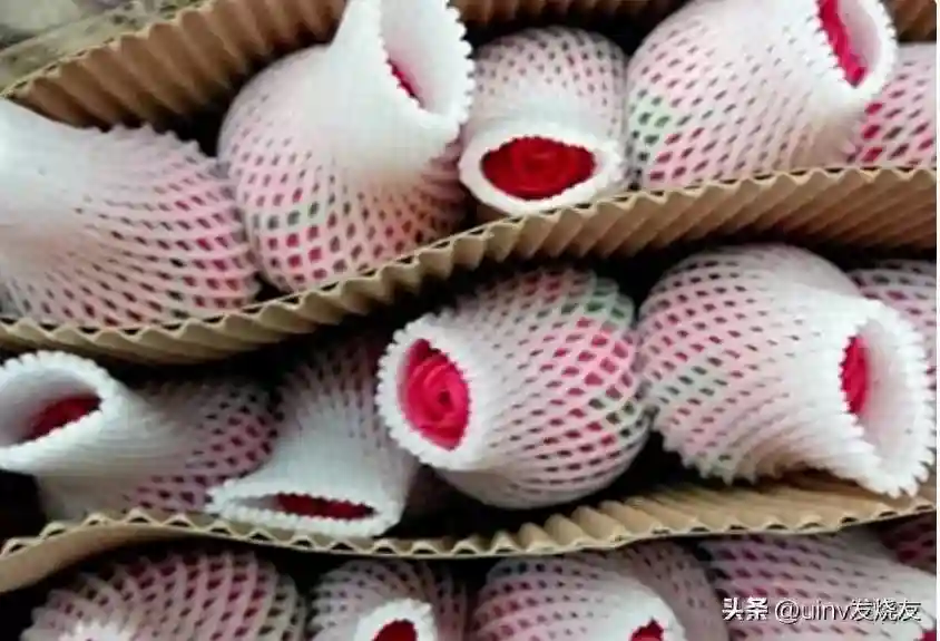 农村不起眼小生意：水果网套，小成本撬动财富大门