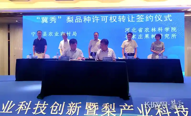梨果新品种“冀秀”刷新河北水果品种转让价格纪录
