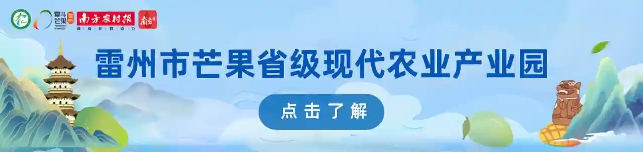 海边小城的旱地野果，怎么就成了“水果中的爱马仕”？