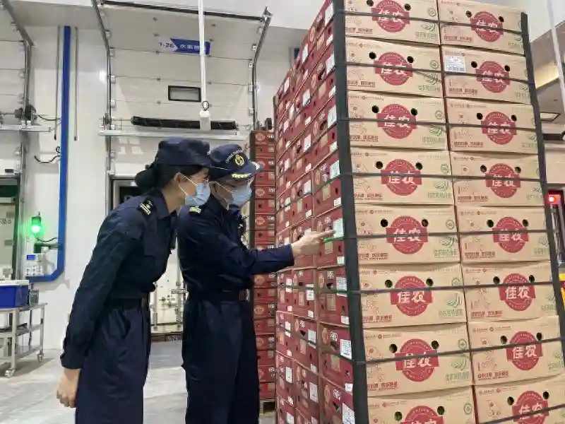 首批入境！宁波梅山国际冷链迎来第一批进口水果