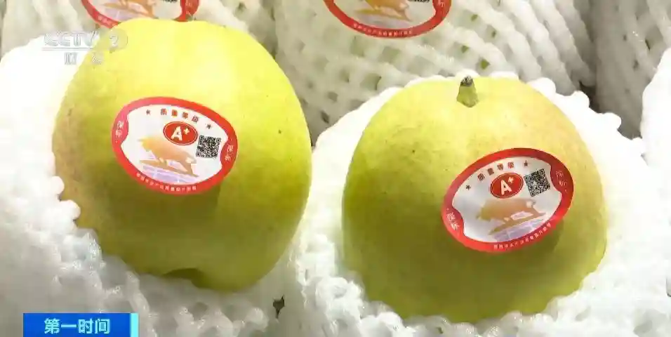 深圳率先试点水果质量分级！让品质看得见、摸得着