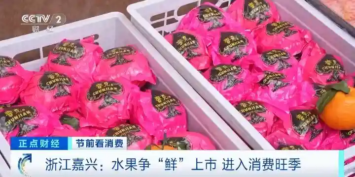 一天卖10吨！浙江嘉兴水果争“鲜”上市，车厘子卖爆了→