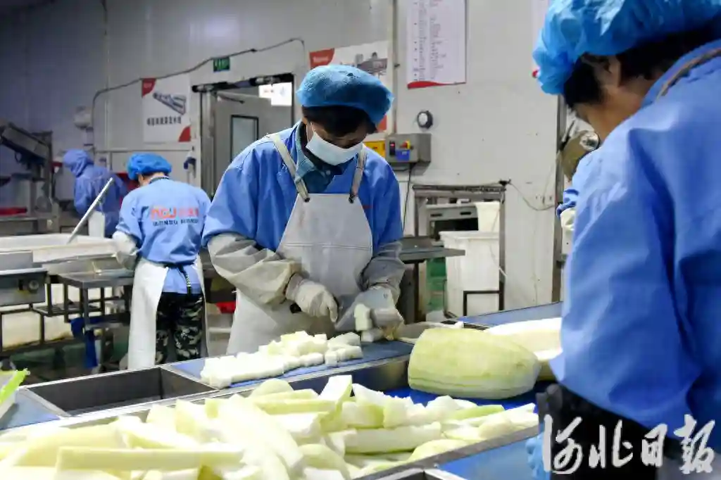 衡水果蔬进京记③丨擦亮品牌，“衡字号”果蔬叫响京津冀
