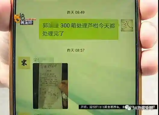 “烂水果”去哪了？果品批发市场营业员爆猛料！看完想吐