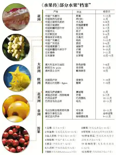 首部水果主角美食纪录片受好评 主创揭秘摄制过程