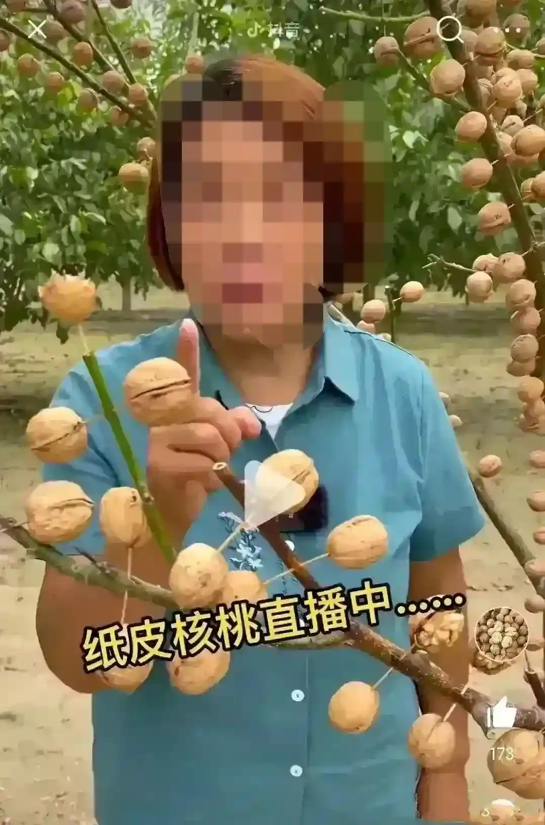 鸡蛋树！骗人的水果直播间该管管了，简直是侮辱智商