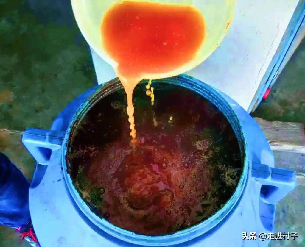 水果酵素肥使用注意了，这一点很重要，用错了会烧苗