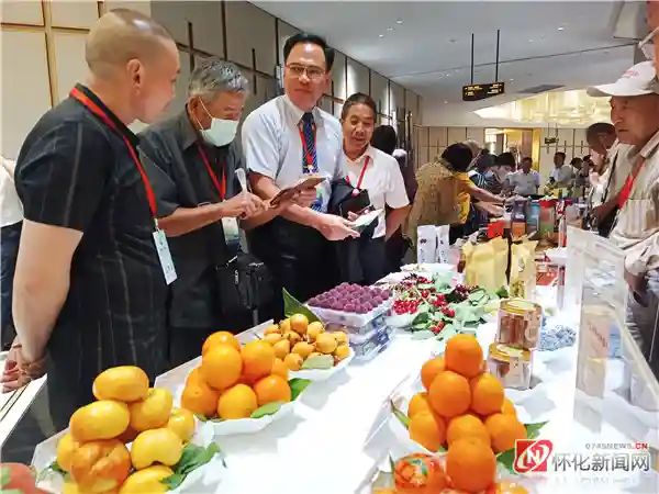 海峡两岸农业文化交流——当他们谈论水果时，谈论什么
