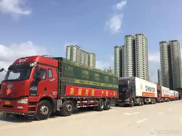 30吨海南水果来沪！克服重重物流难题摆上超市货架