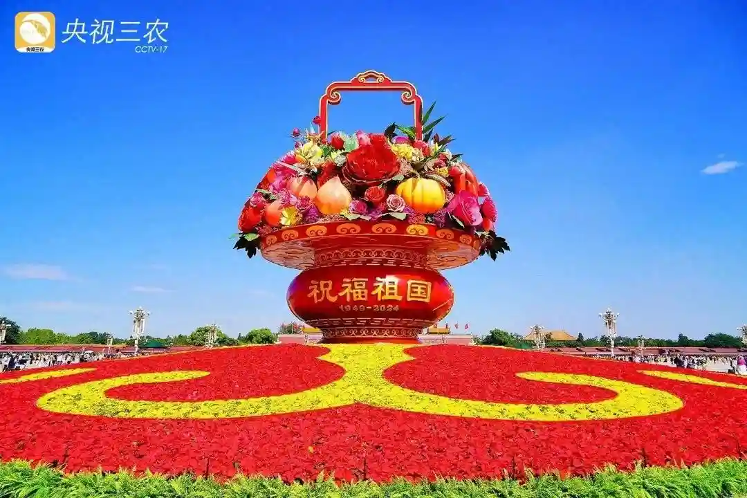 天安门广场大花篮里的三种水果，在山东是这个样子的