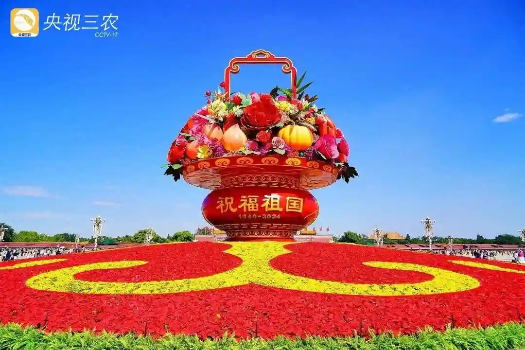 天安门广场大花篮里的三种水果，在山东是这个样子的