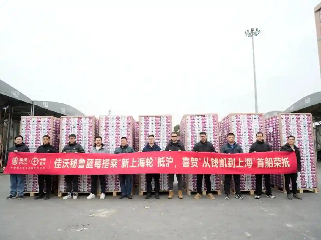 “钱凯港—上海”首航抵达，2万余吨秘鲁水果上海市场开售