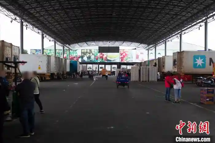 假扮“边民”在边境走私 广州海关破获13.55亿元水果走私案