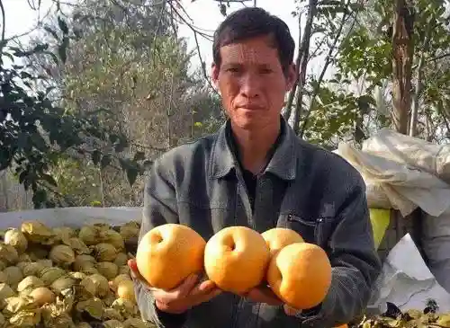 摆拍、造假、博取同情！“网售滞销水果”的背后竟是一场骗局