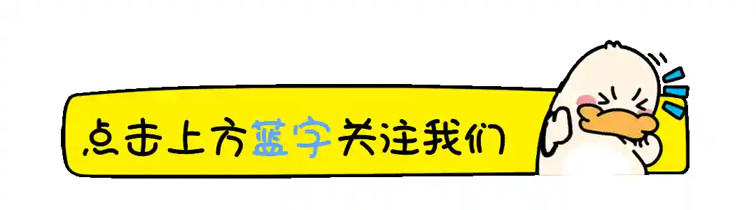 决策失误！大姐脱离三姐和小松，自己开鲜花水果店，不赚钱！