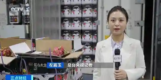 火龙果、菠萝进口量飙升！“一带一路”共建国家水果“抢鲜”入境