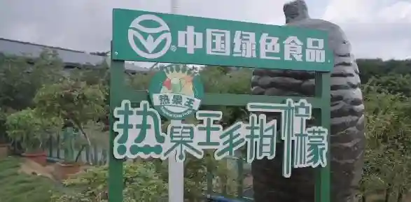 海南这2家宝藏水果主题农场乐园，原来好多人都不知道
