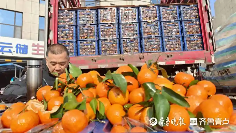 备年货｜进口、国产水果价格都略降，日均交易超万吨，年底更旺