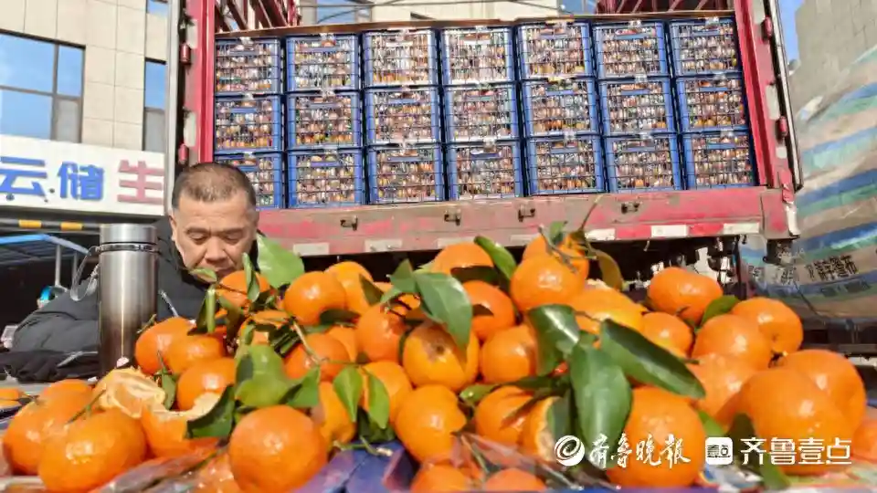 备年货｜进口、国产水果价格都略降，日均交易超万吨，年底更旺