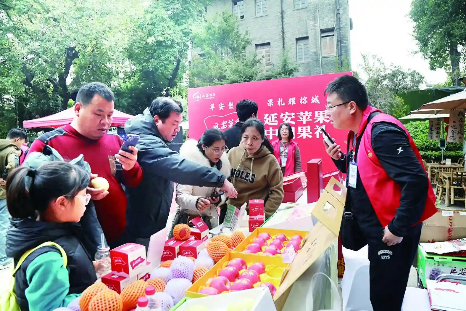 苹果猕猴桃香飘八闽大地 2024陕西水果百场销区行走进福建