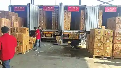探青岛水果市场：榴莲价格跌至“2”字头，价格有望进一步下降