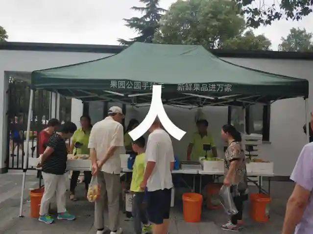 明天就到！单日曾爆卖1160斤！这两个公园门口的本地水果，来啦