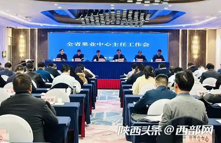 全面增量提质端好“果盘子” 2022年陕西园林水果产量达1993.4万吨