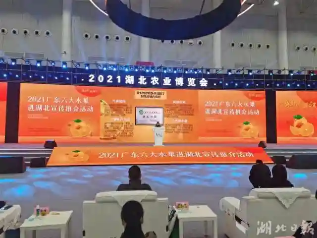贡柑、荔枝、菠萝、龙眼、蜜柚、香蕉荟萃，广东六大水果带来秋冬甜蜜
