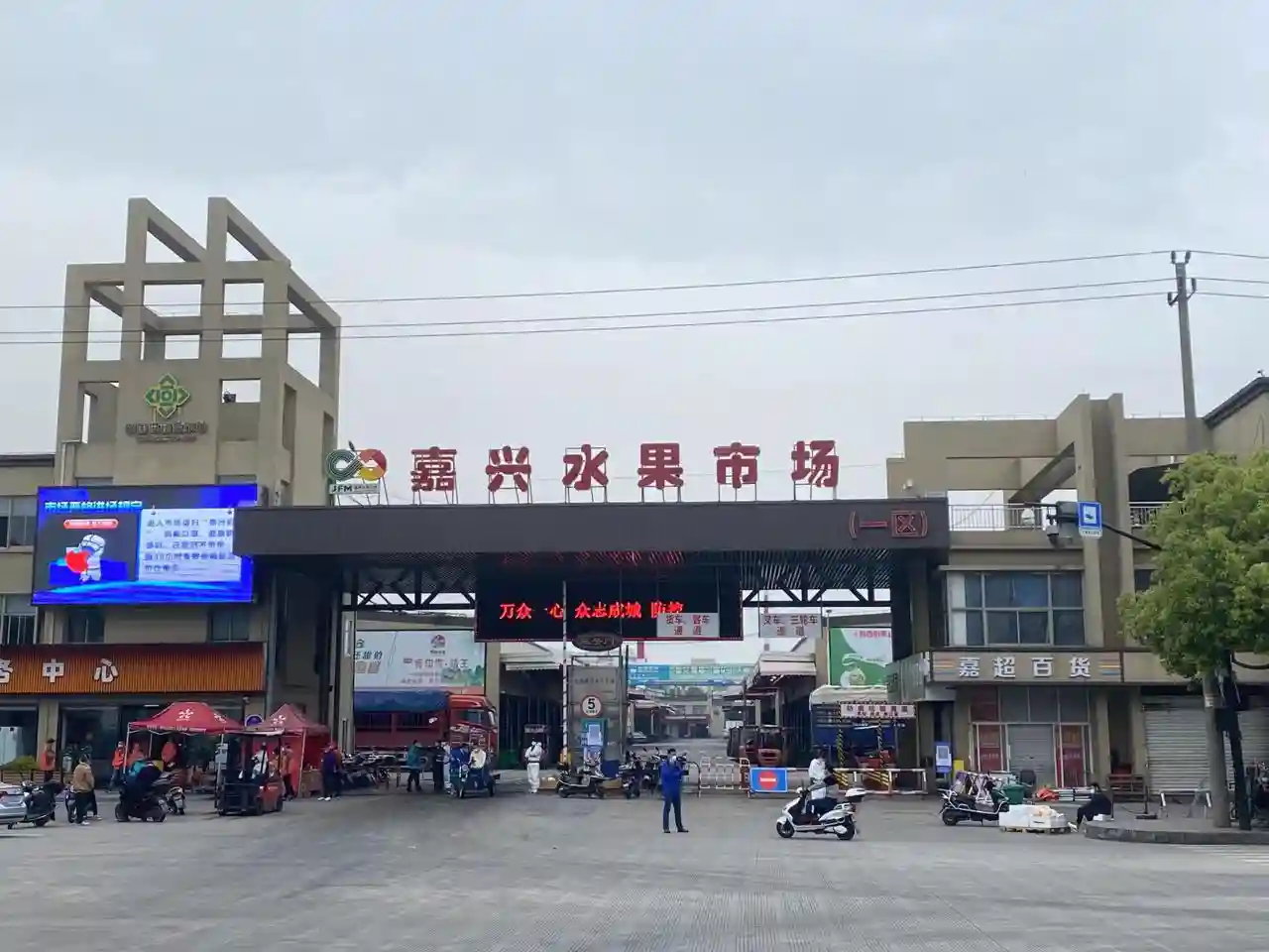 大家离“水果自由”不远了！“华东第一果市”4月20日零点正式复市