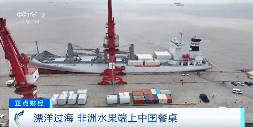 漂洋过海，美味来袭！非洲水果端上中国餐桌，消费者选择更丰富→