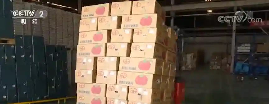 消费市场观察：全国水果供应充足价格平稳 库存充裕产量增加