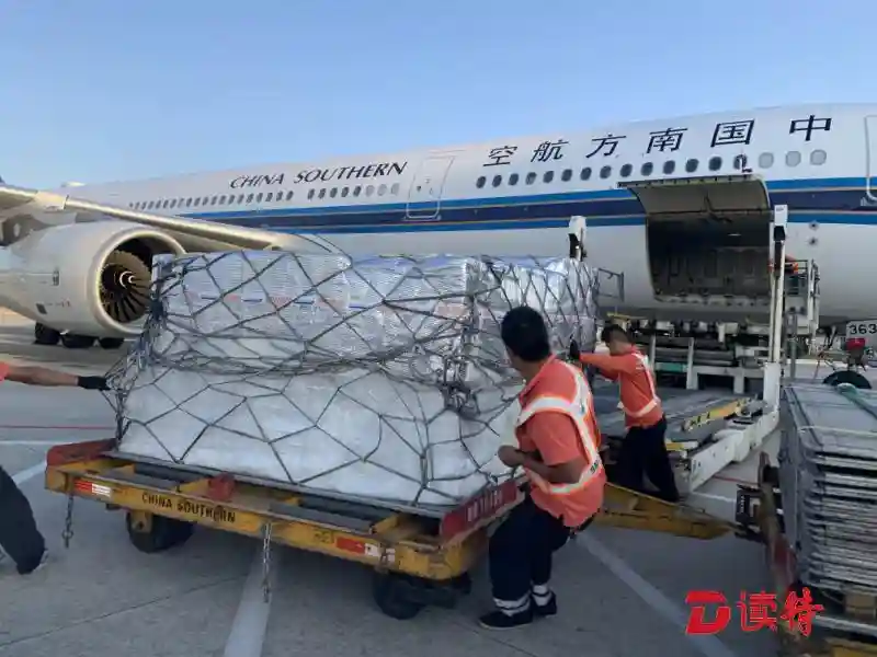 预约检验极速提货，澳洲樱桃抢“鲜”达！南航开通进口水果快提服务