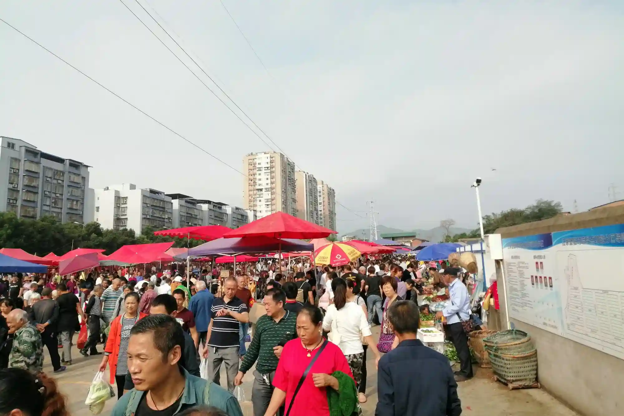 重庆人气最旺的赶场，水果又多又便宜！苹果1元1斤，提子2元1斤