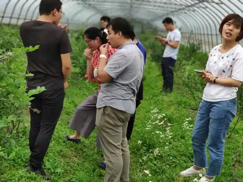 采购商冒雨“相亲”上海地产水果，金山果农坦言：我们不愁卖但求你懂我