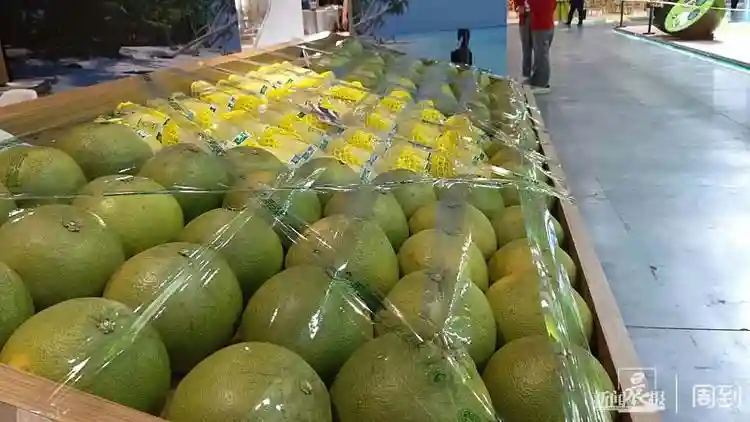 进博好物 | 进博会现场下单！进口水果、零食、冰激凌，这里一键订购，送货到家