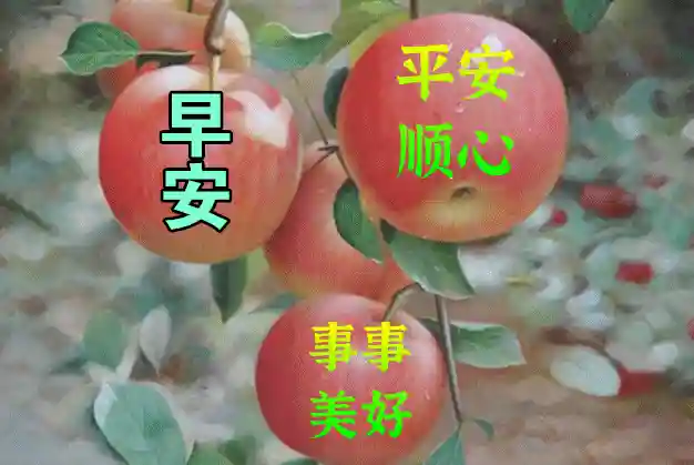 创意免打字夏天早上好图片带字 好看的夏日早安问候语动画水果图片