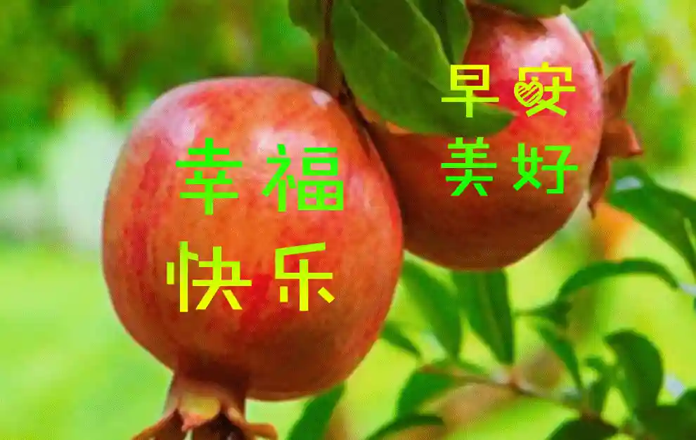 炎炎夏日创意好看的早安表情水果图片带祝福语 免打字早上好表情包