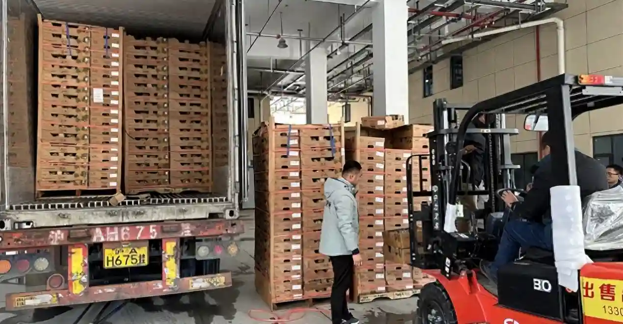 一颗车厘子从智利到湖北只需3天，孝感首衡城打造华中水果批发新枢纽