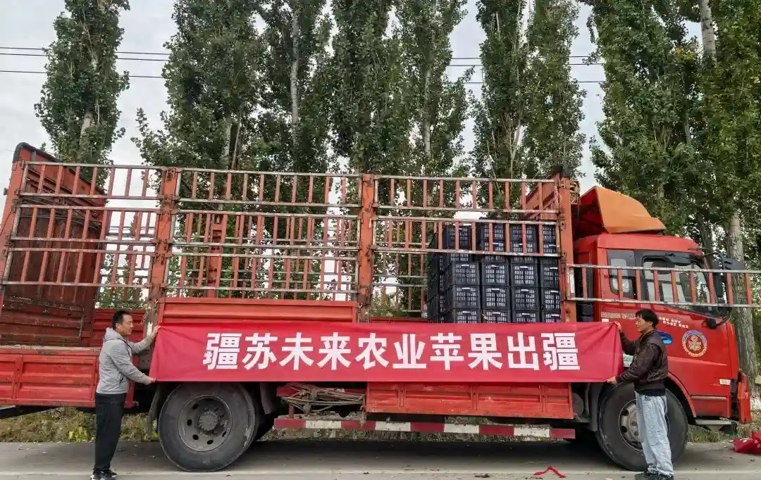 产业协作助力消费帮扶——霍尔果斯市疆苏未来水果直供基地首批苹果正式出疆！