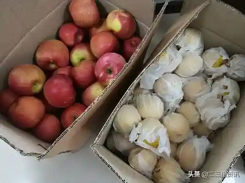 铁岭老两口向执勤民警送水果，“苹果让你们平平安安、鸭梨希望疫情早早的离去！”