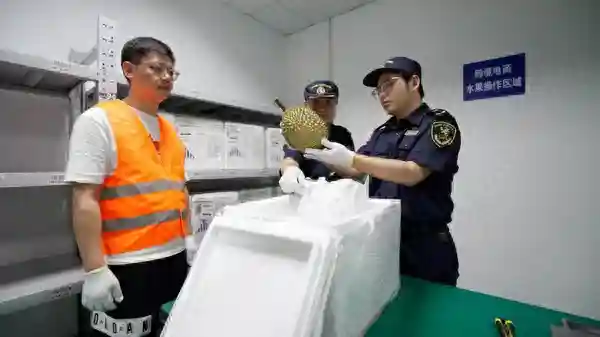 消费者购买海外鲜果有了新渠道 上海首单跨境电商网购保税进口水果业务落地青浦