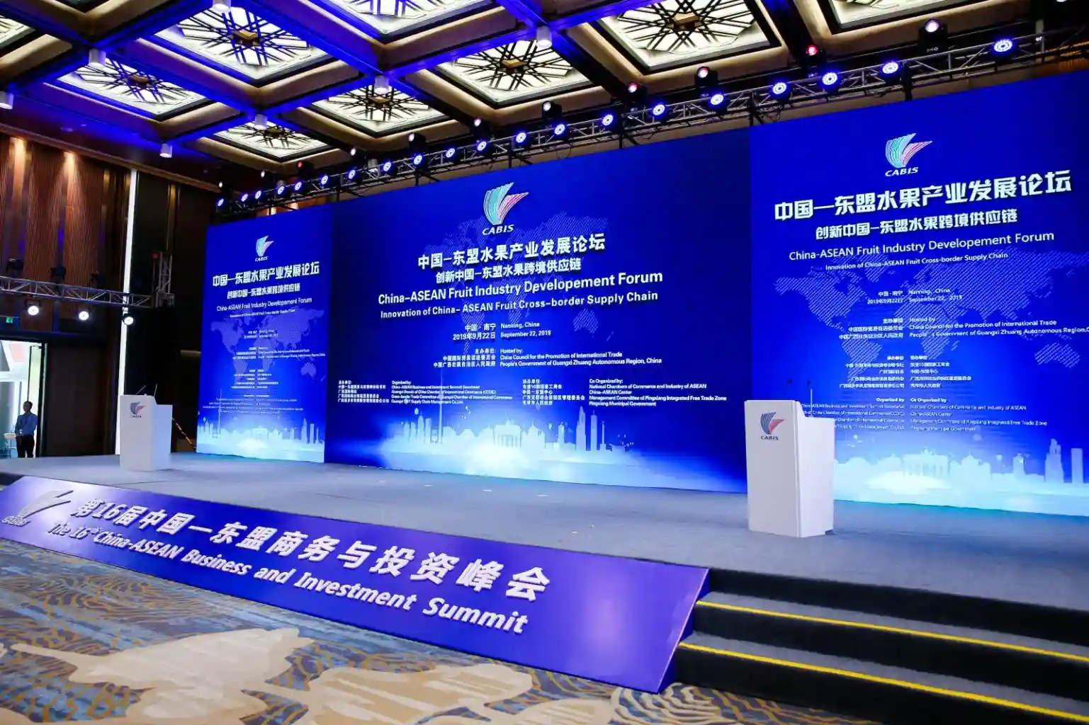第16届中国—东盟商务与投资峰会框架下的中国—东盟水果产业 发展论坛在南宁成功举办