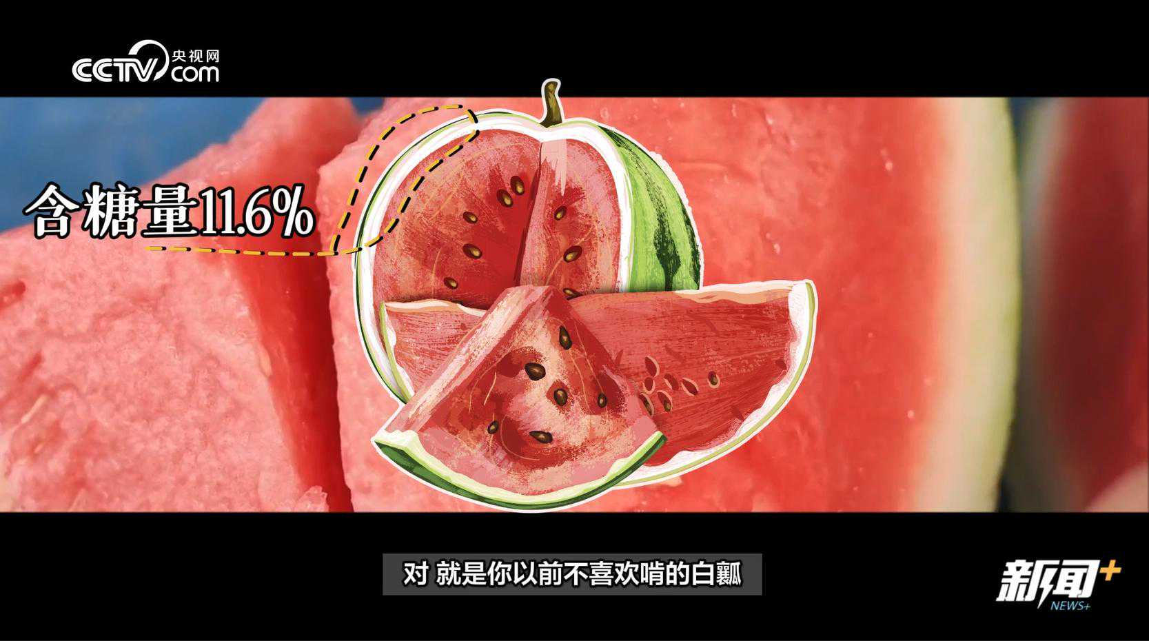 当水果走起“纯甜风” 网友：现在的水果怎么越来越甜了？