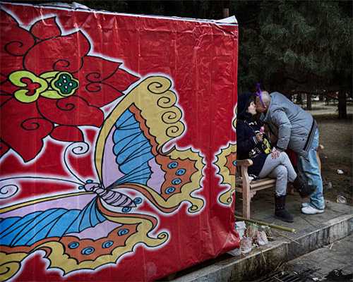 丝路花正开⑭丨奥克兰or成都，新鲜水果哪家强？记者带你一起探店！