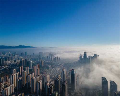 海南商会在汉筹建蔬果批发基地，当地水果将直供武汉