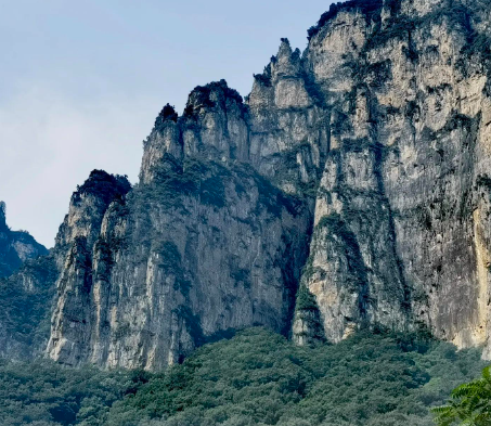 水果沙拉的做法,水果沙拉的家常做法