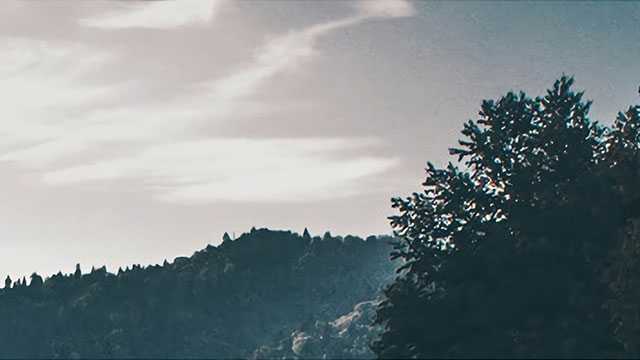 水果戚风奶油蛋糕
